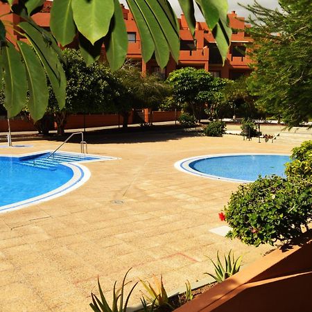 Alquilaencanarias El Medano Sotavento, Great Terrace And Beach 외부 사진