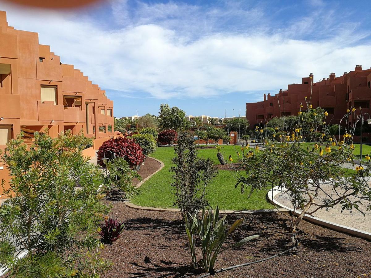 Alquilaencanarias El Medano Sotavento, Great Terrace And Beach 외부 사진